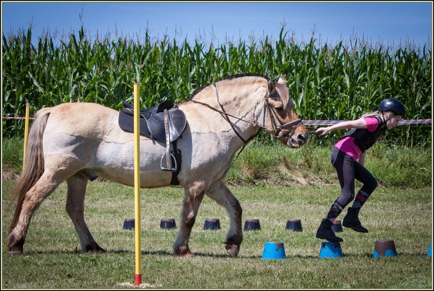 Mounted Games 151